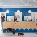 편안한 동물병원 이미지