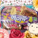 가오유치원 | 나의 대학 생활 v-log
