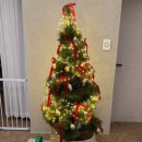 댕댕회관 이미지