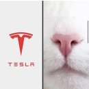 씨유단양스타점 | 블로그 더 이상 밀리지 마. 2020년이 얼마 안남았어