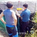 봉황지구대 이미지