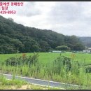 상정리마을회관 이미지