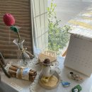 중앙시장길 | 강원도 동해 묵호 여행 소품샵 투어 후기