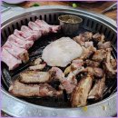 탐라우돈