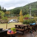 에버그린민박 이미지