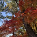 🍁☁️Together, we shine in autumn☁️🍁 이미지