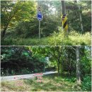 무등로1구간 이미지