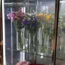 (주)아이네스