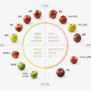 연두사과 이미지