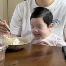 [일상] 31주차 임산부가 살이찌는 이유
