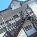 푸조와곰솔 이미지