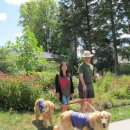 마음소리예술심리상담연구소 이미지