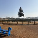 경보목장 이미지