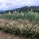 상림화원 이미지