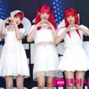 토마토헤어 이미지