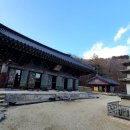 단지봉민박 네이버블로그