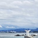 산향기의 속리여행 | 동해 가볼만한곳 무릉별유천지 라벤더축제 후기(강원도 여행 6월 꽃축제)
