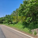 비행기공인중개사사무소 이미지