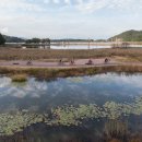 송지호 자전거대여소 이미지