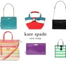 부모님 설 선물 결정하셨나요? 여러분의 안목으로 하나만 골라주세요! 이미지