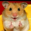 그레이스투어(Grace Tours) | 01. 관악 웨딩홀 그레이스파티 계약 O (견적공유 X)