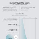 미국에서 인슐린 비용 시각화(2004-2024) 이미지