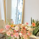 신월동233 이미지