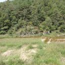 양지바른공인중개사사무소 이미지