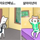 미핑