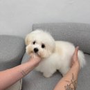 우월한스테이 이미지