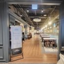 꼬꼬퀸즈 | 애슐리 퀸즈 시흥 신세계아울렛점 입점! 딸기뷔페부터 100여종 미식 생생리뷰