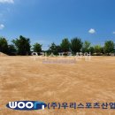 양도초등학교 이미지