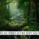 꿈나무환경교실 이미지