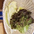 박경규항아리보쌈미사점 이미지