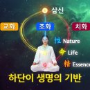 터널게이트(나) 티스토리