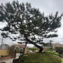 메이플해피하우스