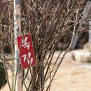 황토복집 이미지