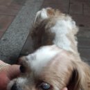 두산동물병원 이미지