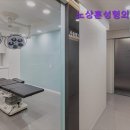 노상훈성형외과의원 이미지