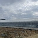 강동로-37 이미지