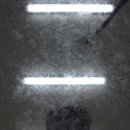 (SJ)디테일링 이미지