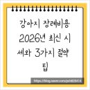 오동축산 | 강아지 장례비용, 2026년 최신 시세와 3가지 절약 팁
