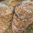 이동경로식당 이미지