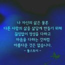 2019년 황금돼지띠 기해년에 과천시 한결어린이집이 모두 큰 복 받으시고 행복 가득한 한 해 되시라고 큰절 올립니다! 이미지