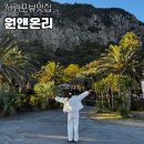 원앤온리짐 | 서귀포 뷰좋은 카페 원앤온리 겨울 방문 후기