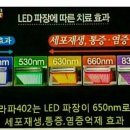 라파힐링테라피