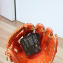 성환-12 Daum카페