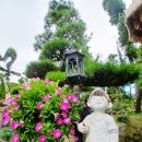 카페포렛 | 정읍 힐링 정원 카페 제이포렛 아이랑 들꽃마당