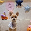 옹심이네살롱 이미지