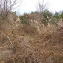 호근동-1 이미지